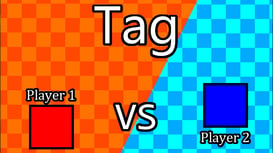 2 Player Tag