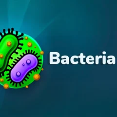 Bacteria