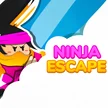 Ninja Escape