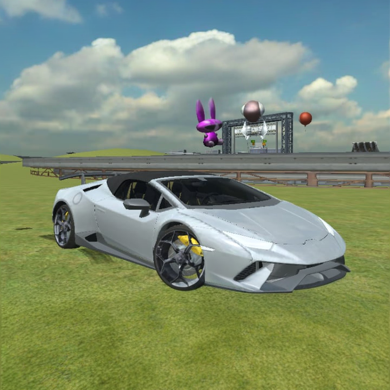 Sports Cars Driver