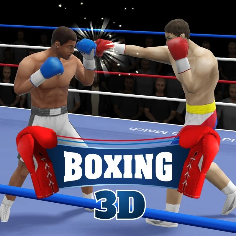 Boxing 3D