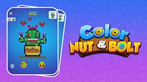 Color Nuts & Bolts Puzzle