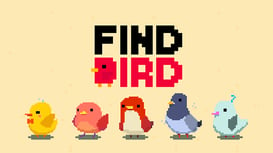 Find Bird