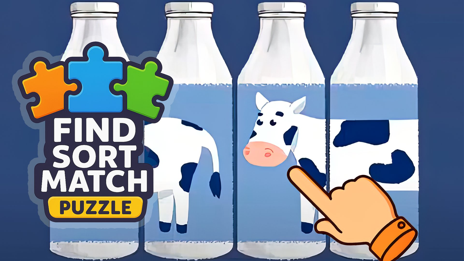 Find Sort Match - Puzzle