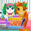 Funny Pet Haircut