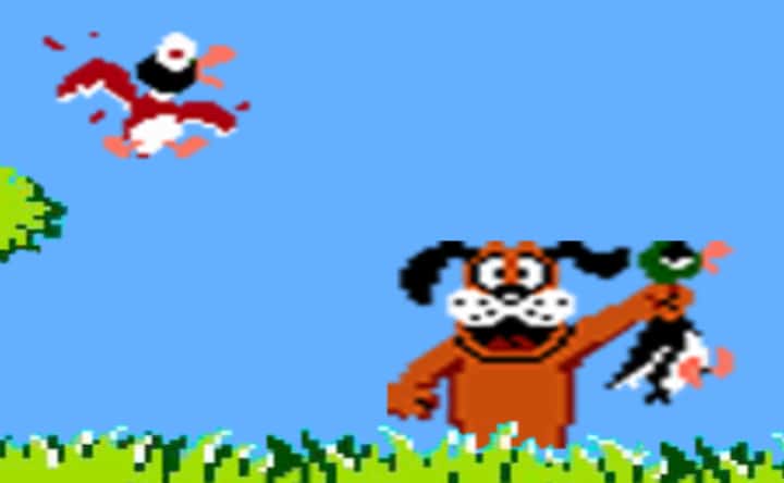 Duck Hunt 🕹️ CrazyGamesでプレイ