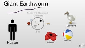 The Scale of the Universe 2