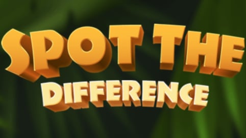 Spot the Difference 2D