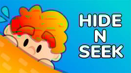 Hide n Seek Cover