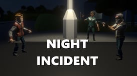 Night Incident