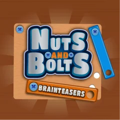 Nuts and Bolts Brainteasers