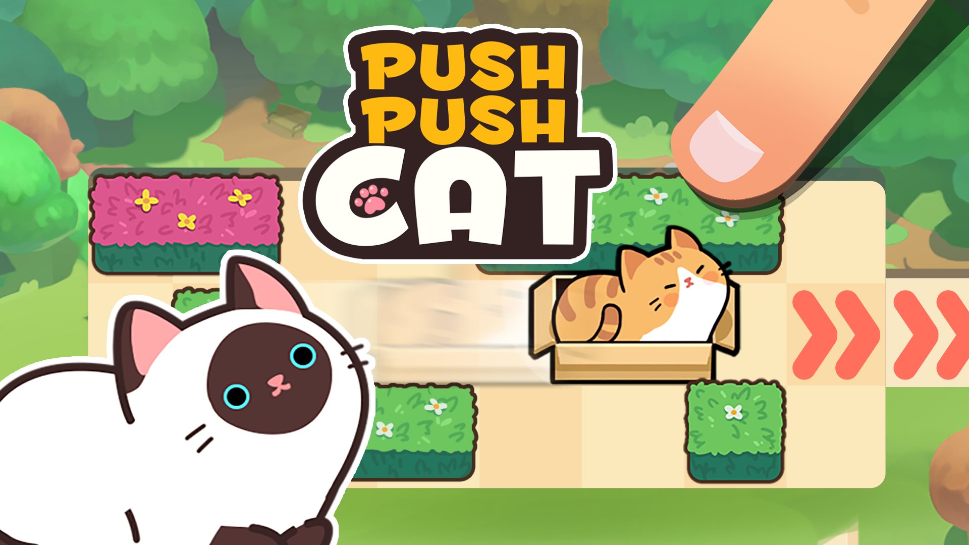 Push Push Cat