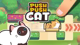 push push cat
