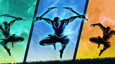 Shadow Ninja